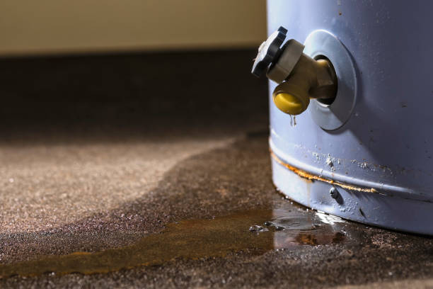 Best Flooded house restoration  in Asheville, NC