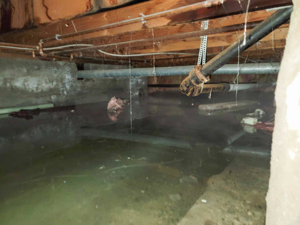 Best Emergency water damage restoration  in Asheville, NC
