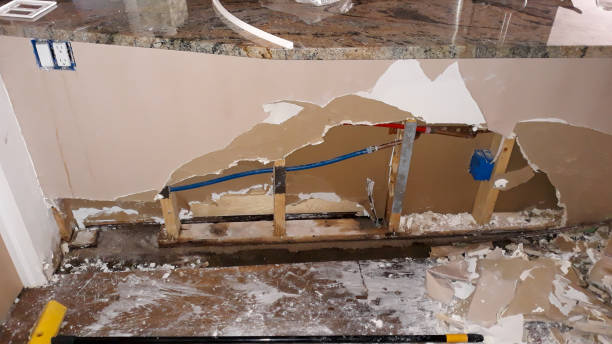 Best Local water damage restoration  in Asheville, NC