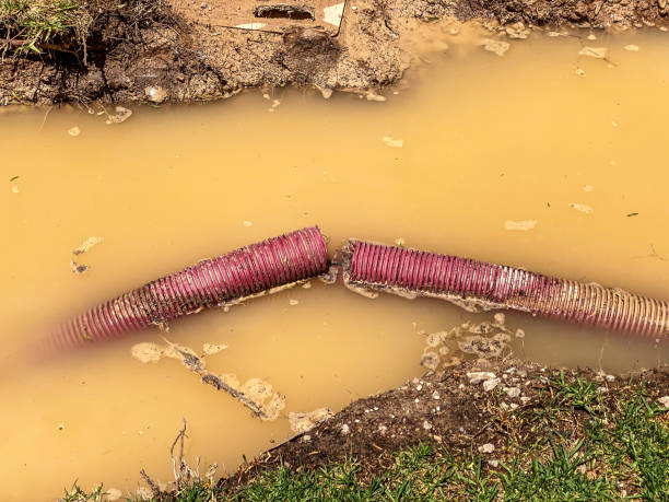 Best Professional water damage repair  in Asheville, NC