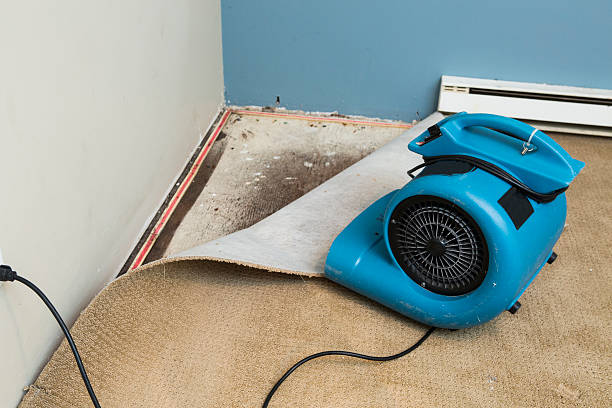 Best Water damage mitigation services  in Asheville, NC